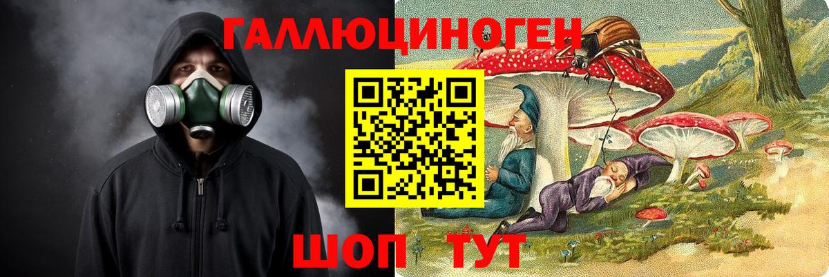 Галлюциногенные грибы Psilocybe Изобильный